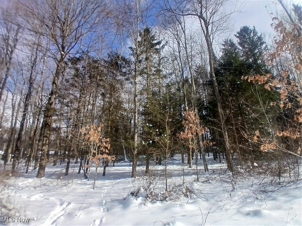 MLS#:5184702