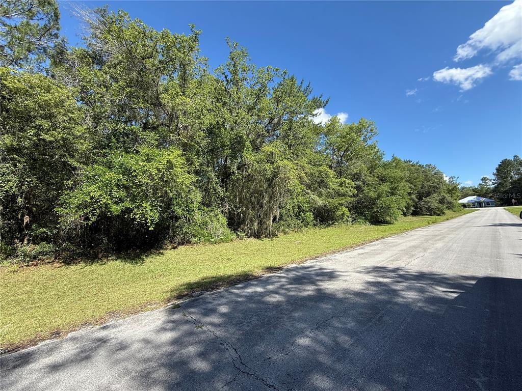 88TH Avenue, Ocala, FL 34473 · $35,000 Virtual tour for Land